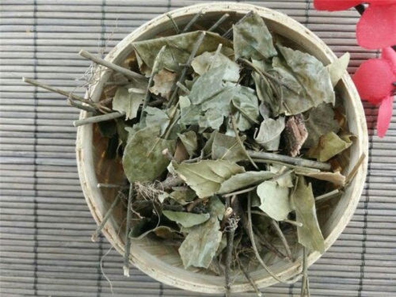 扶芳藤千余品种供应承接订单
