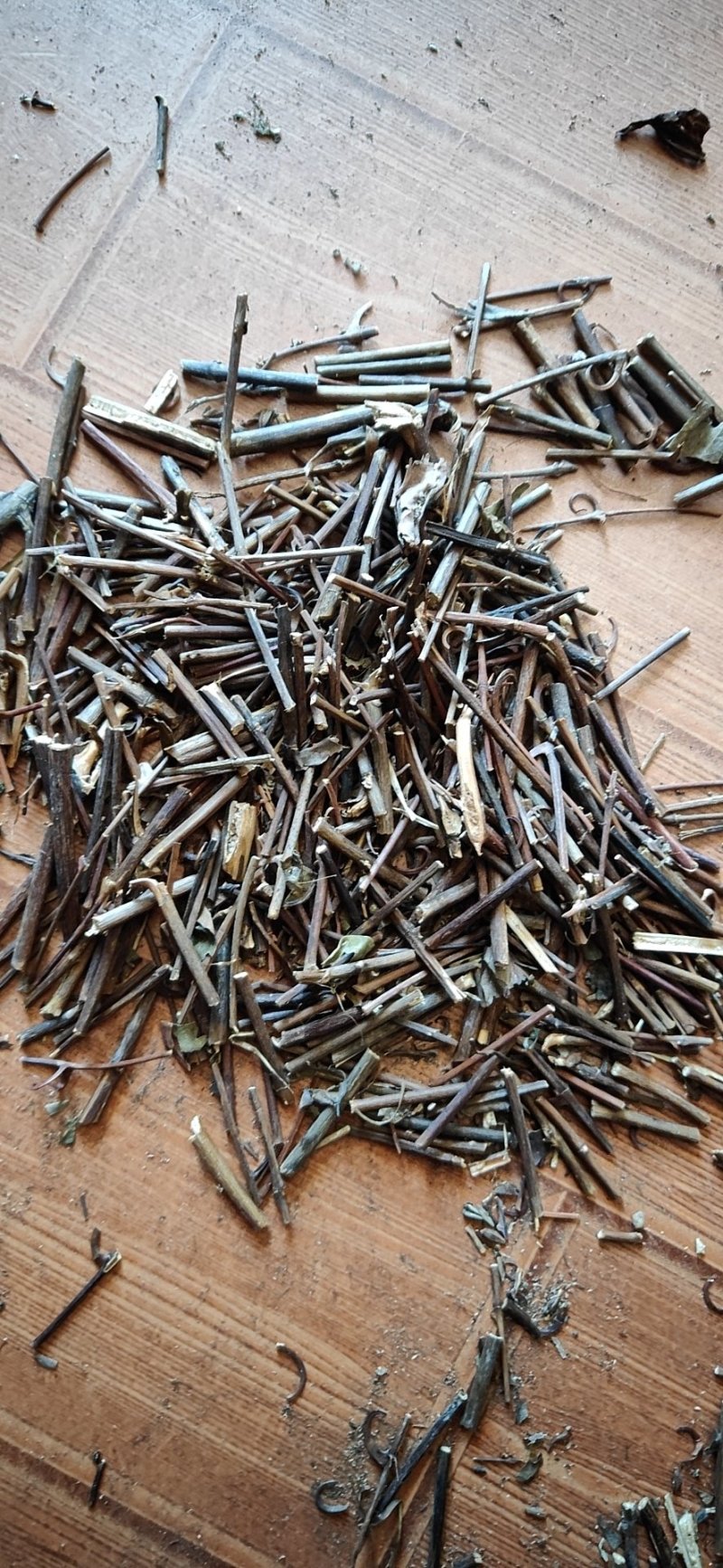 纯野生钩藤统钩，全钩等各种规格的都有欢迎老板选购