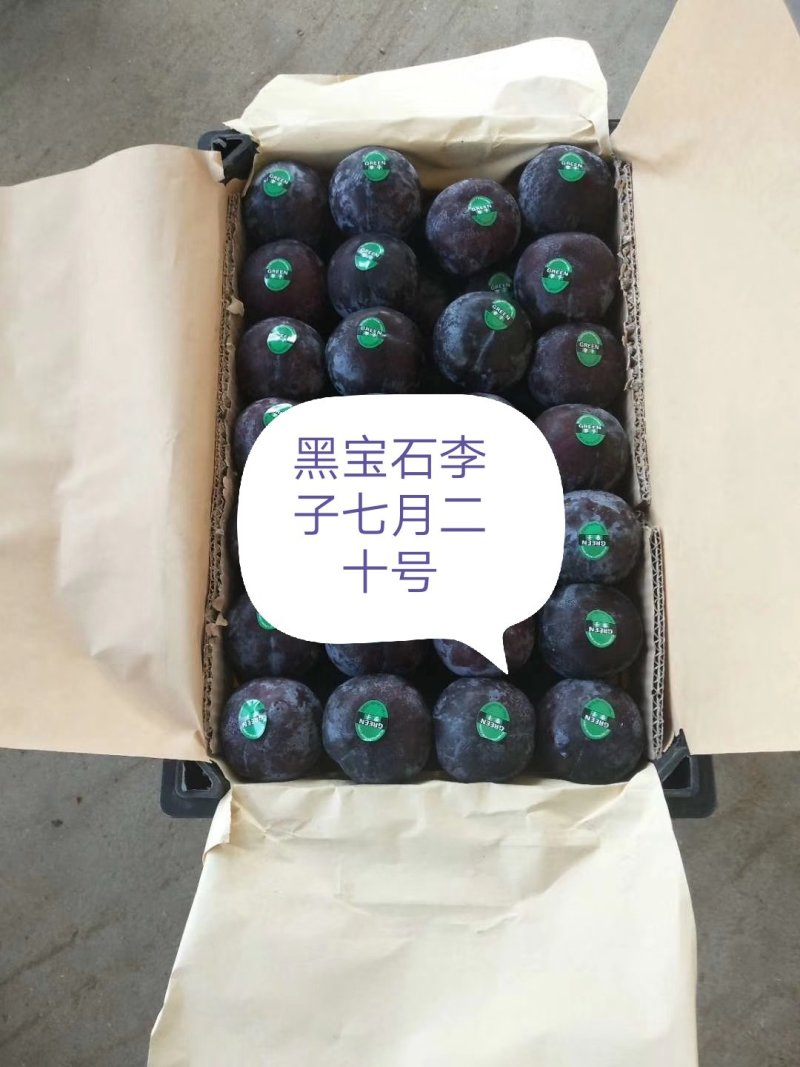 【黑宝石李子】南阳产地一手货源，价格便宜，冷库黑宝石。