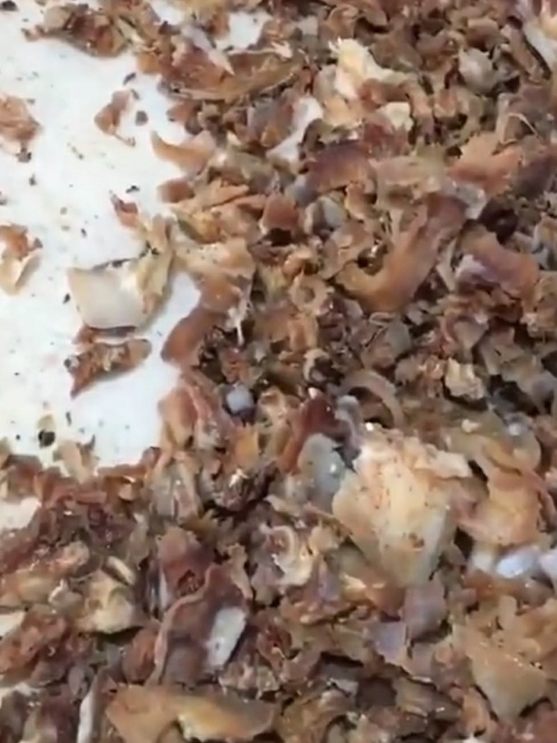 五香刮骨肉，夏季凉菜优先安排