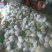 （精品）白面青梗散花，提供包装，诚信代办，畅销全国各地