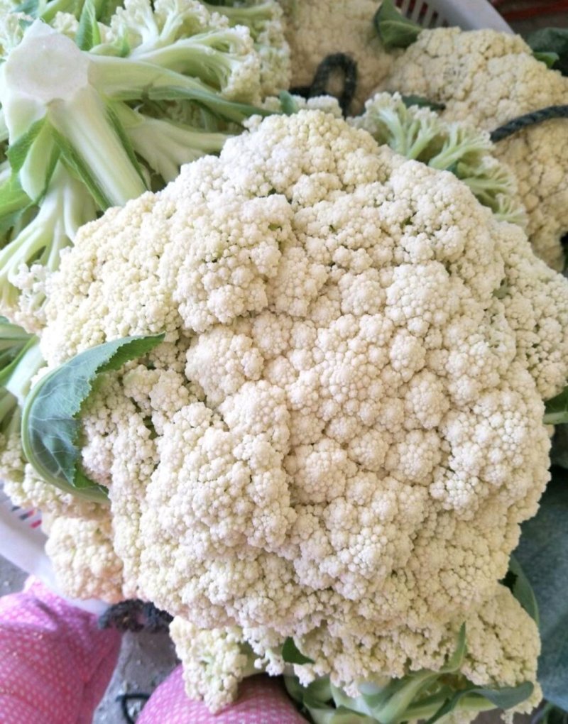 中国花菜，精品散花实花，提供各种包装，各种包装，代收代办