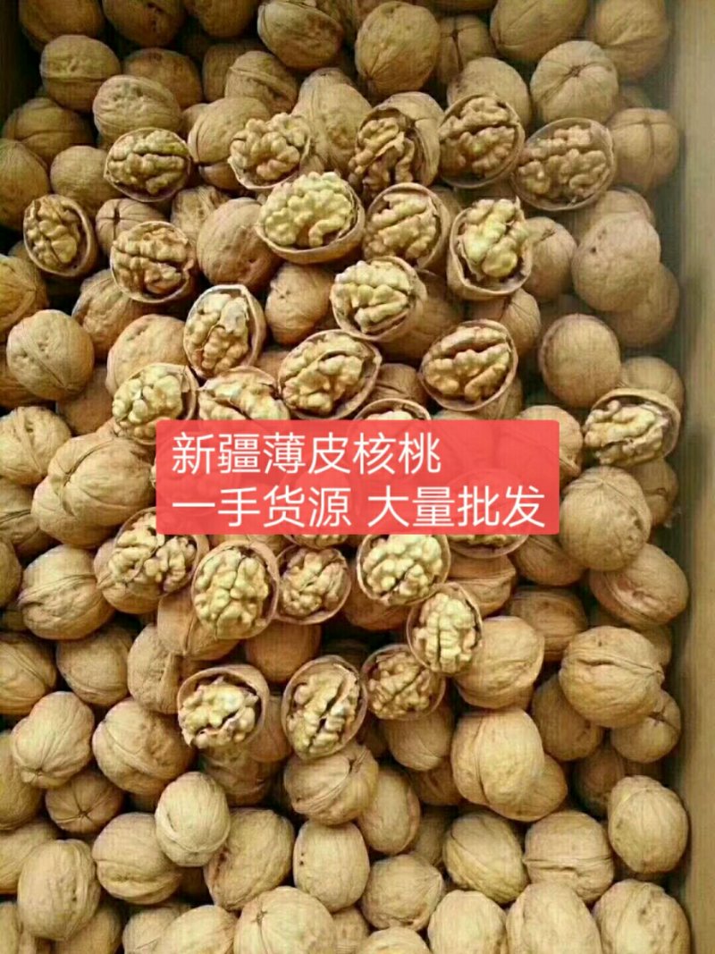 2024新疆纸皮核桃包邮5斤装大量批发欢迎一下
