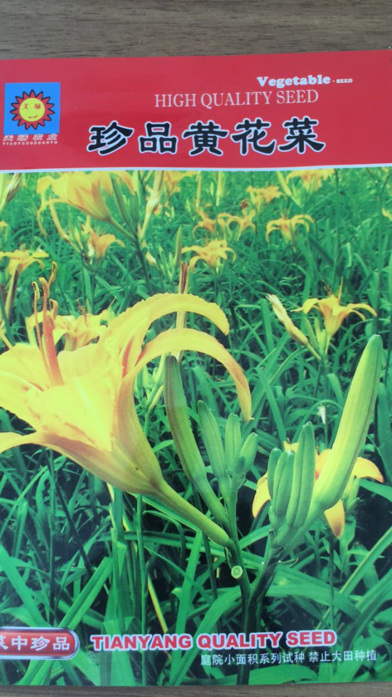 黄花菜种子珍品黄花菜种子