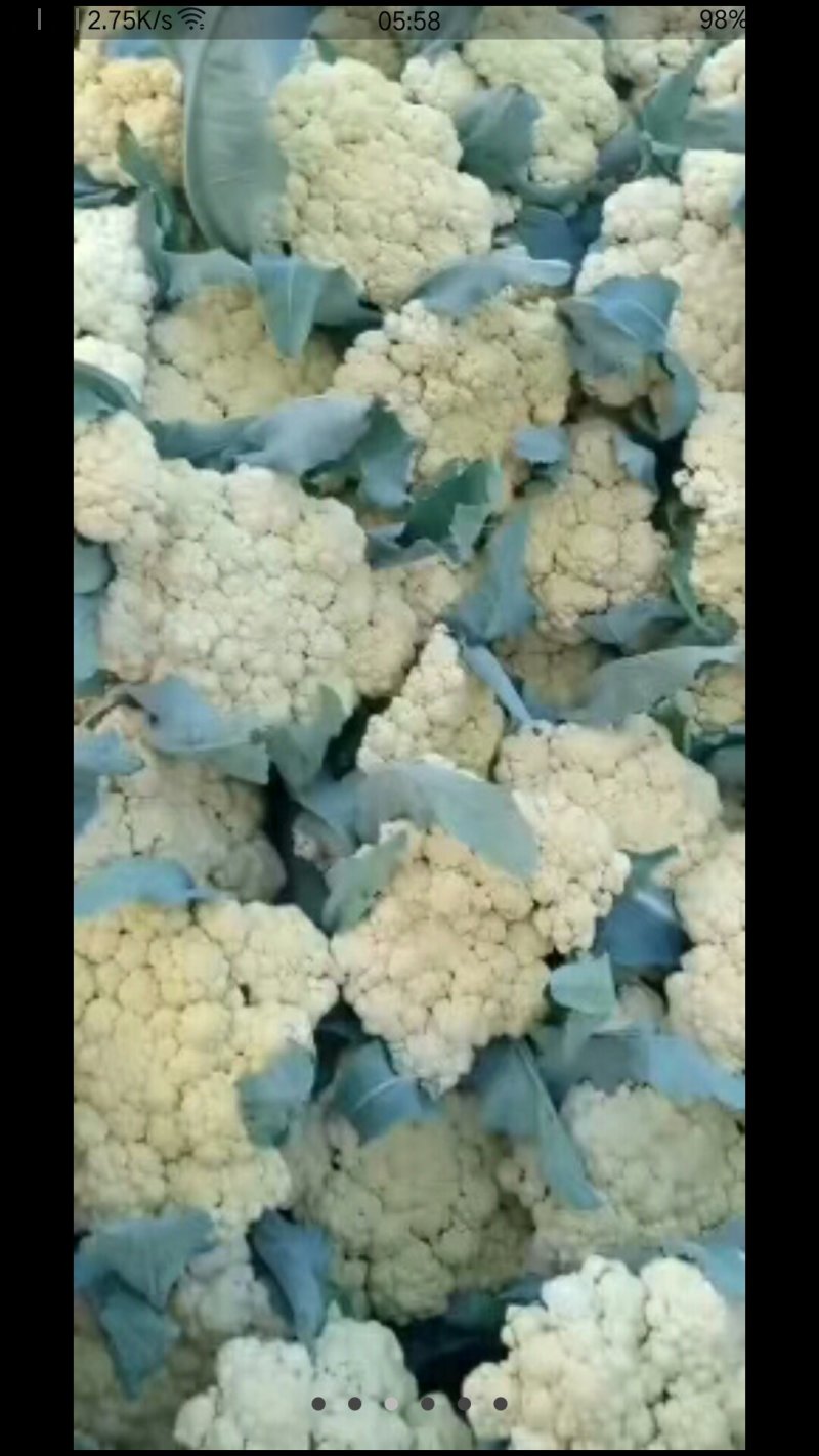 菜花
