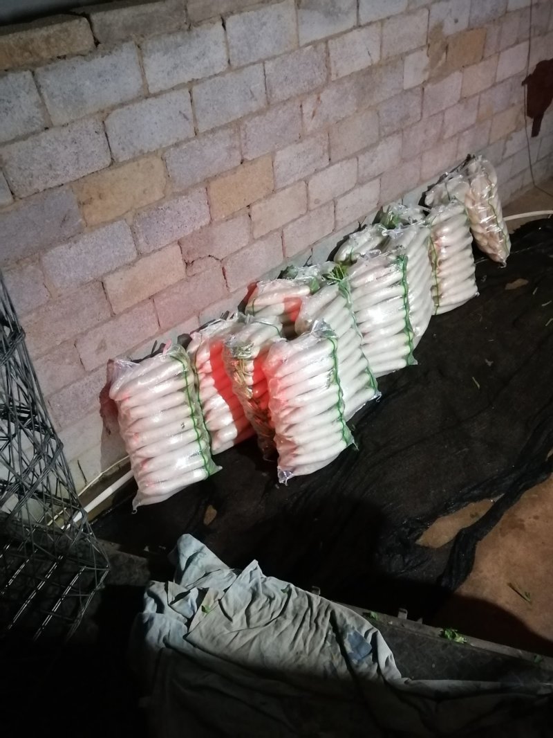 供应市场萝卜，供应加工萝卜次品，量大更优