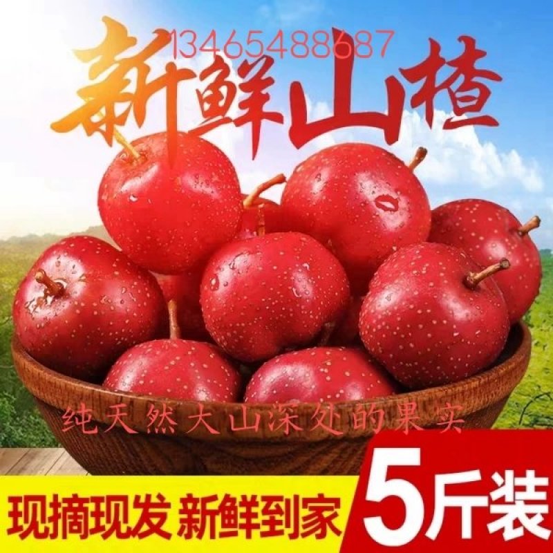 甜红子山楂