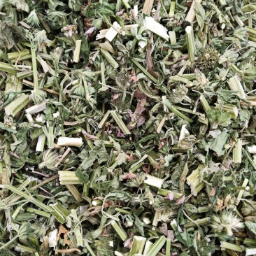 益母草
