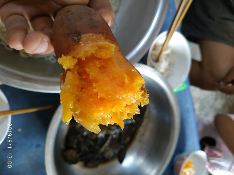 烟25种薯块