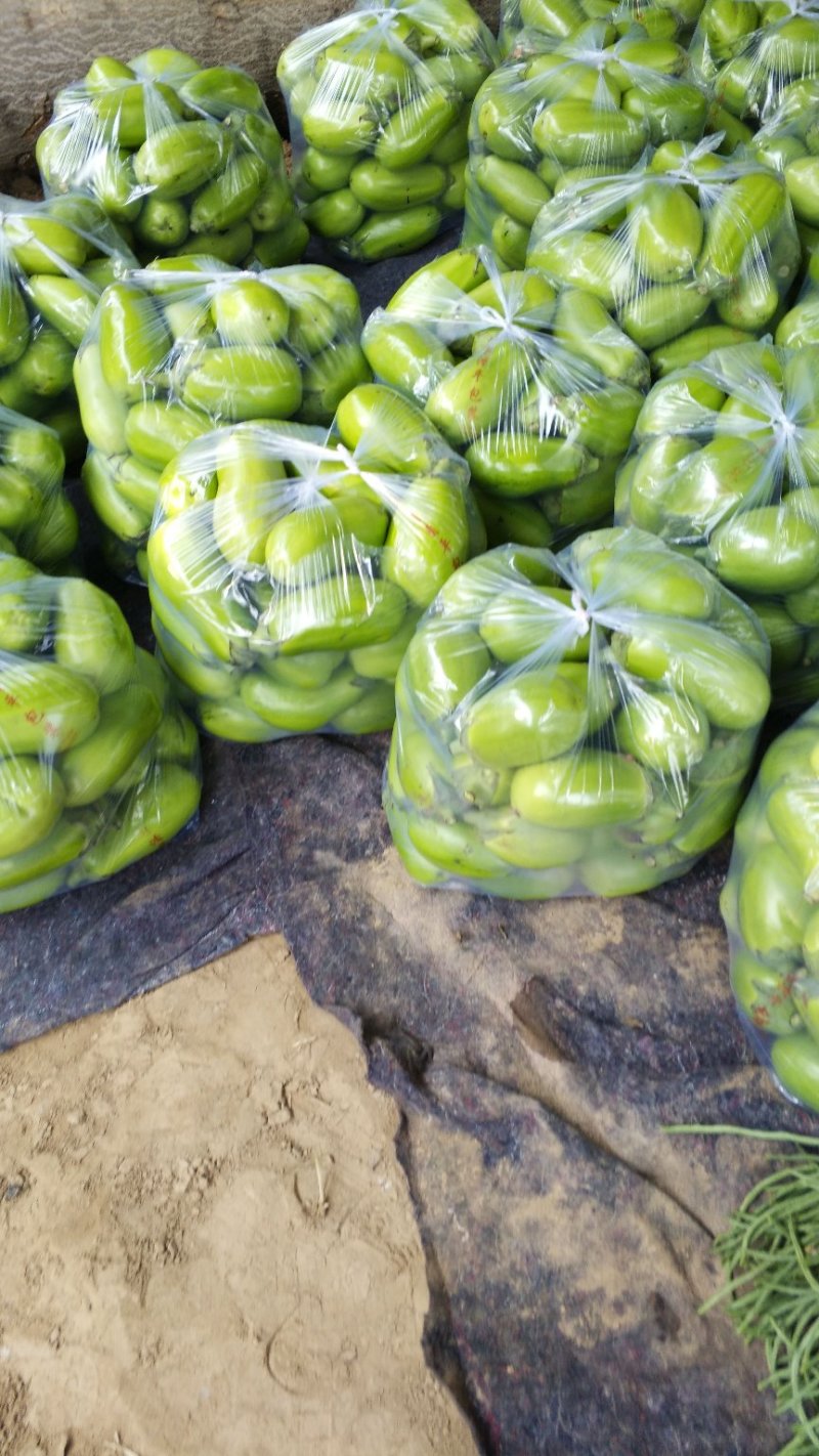 青茄大量上市产地直供商超转供电商对接包装齐全