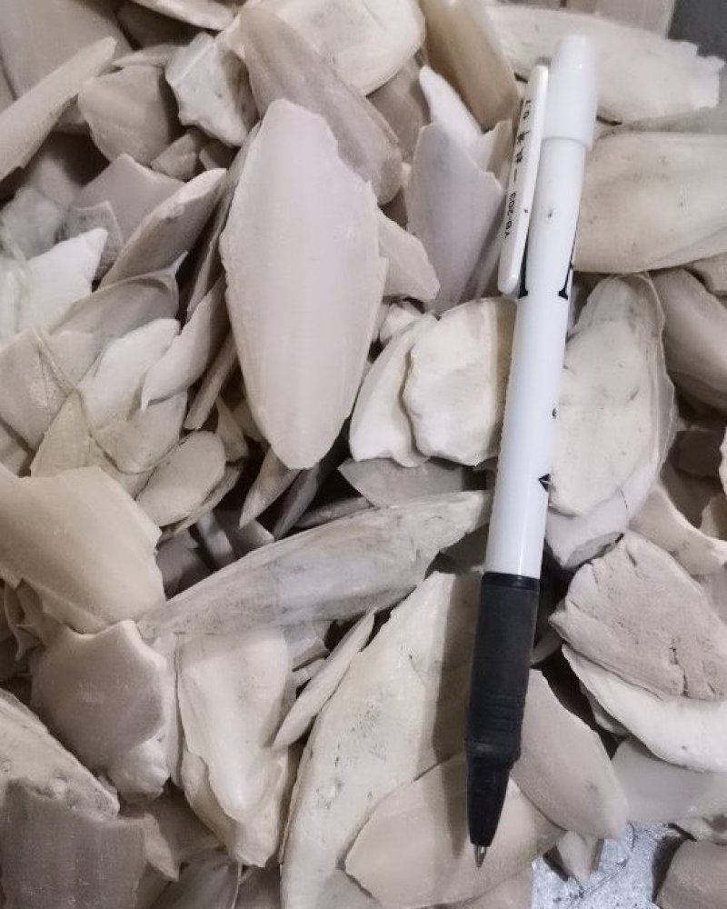 海螵蛸块鱼骨小海螵蛸墨鱼骨大货批发乌贼骨各种药材