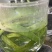 【有好货】老挝云南化石草据本草纲目记载该草在缅甸