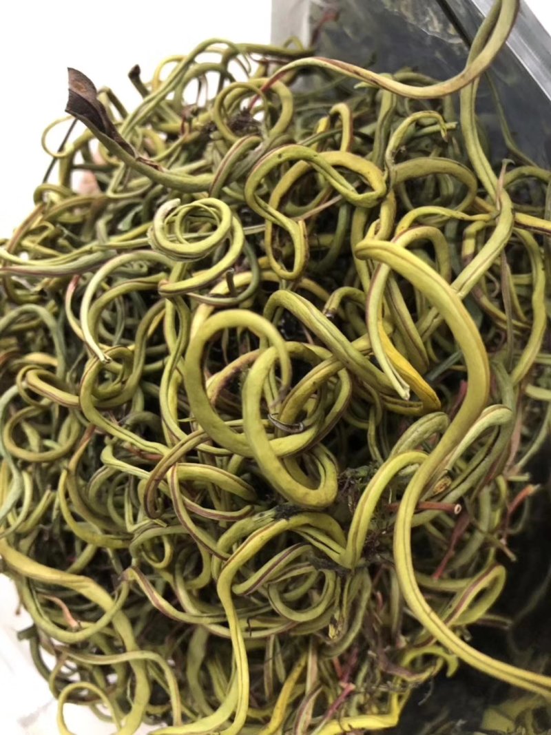 【有好货】老挝云南化石草据本草纲目记载该草在缅甸