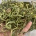 【有好货】老挝云南化石草据本草纲目记载该草在缅甸