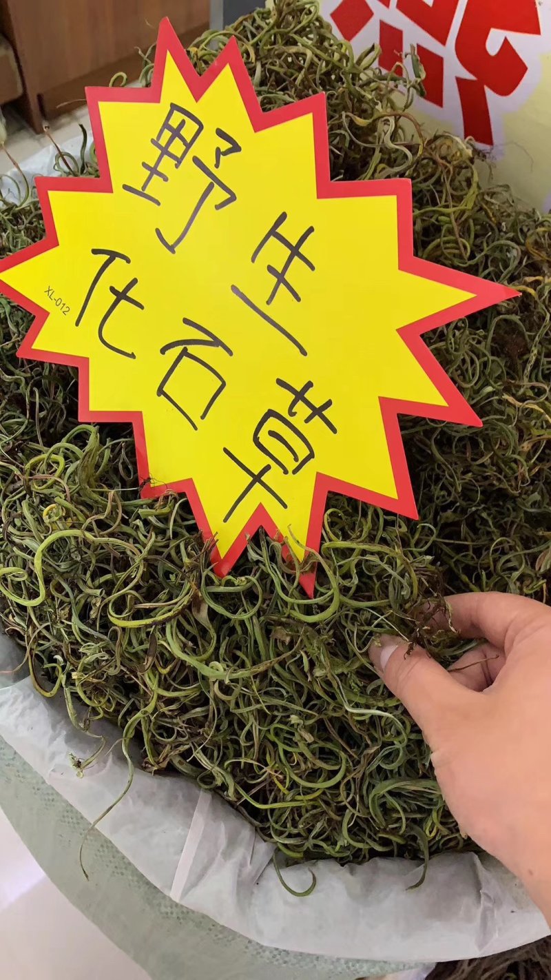 【有好货】老挝云南化石草据本草纲目记载该草在缅甸