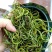 【有好货】老挝云南化石草据本草纲目记载该草在缅甸