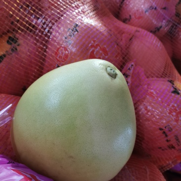 专业代卖，冬枣桃子梨子李子，菠萝黄桃柚子瓜