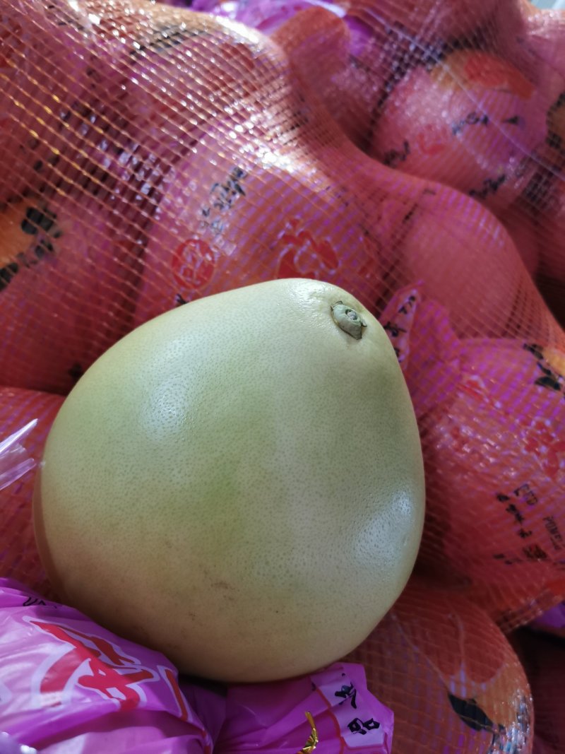 专业代卖，冬枣桃子梨子李子，菠萝黄桃柚子瓜