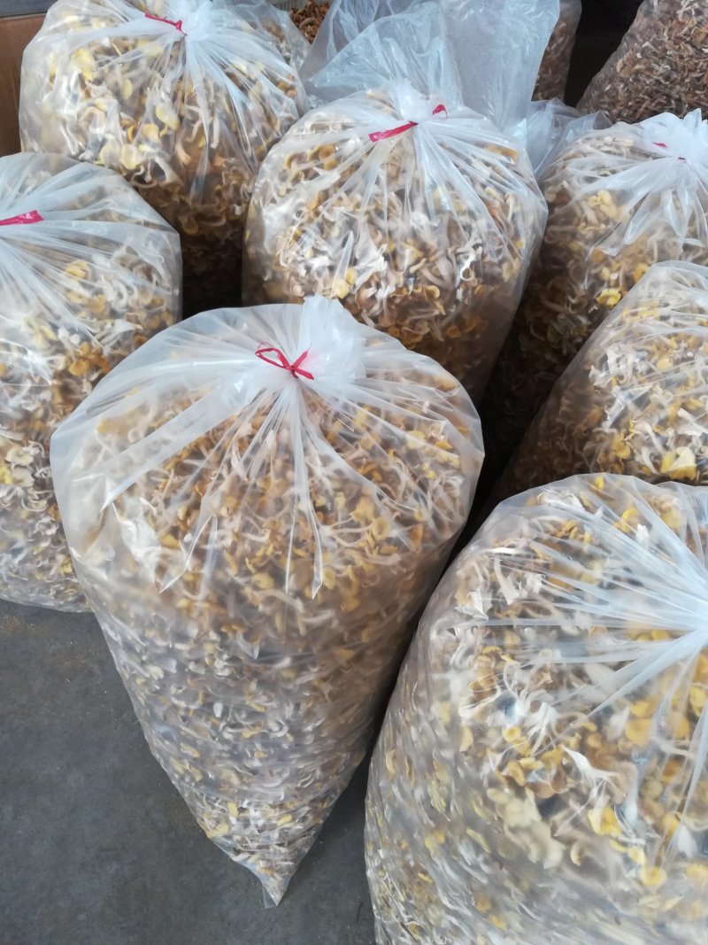 榆黄菇，黄金菇，质优价廉