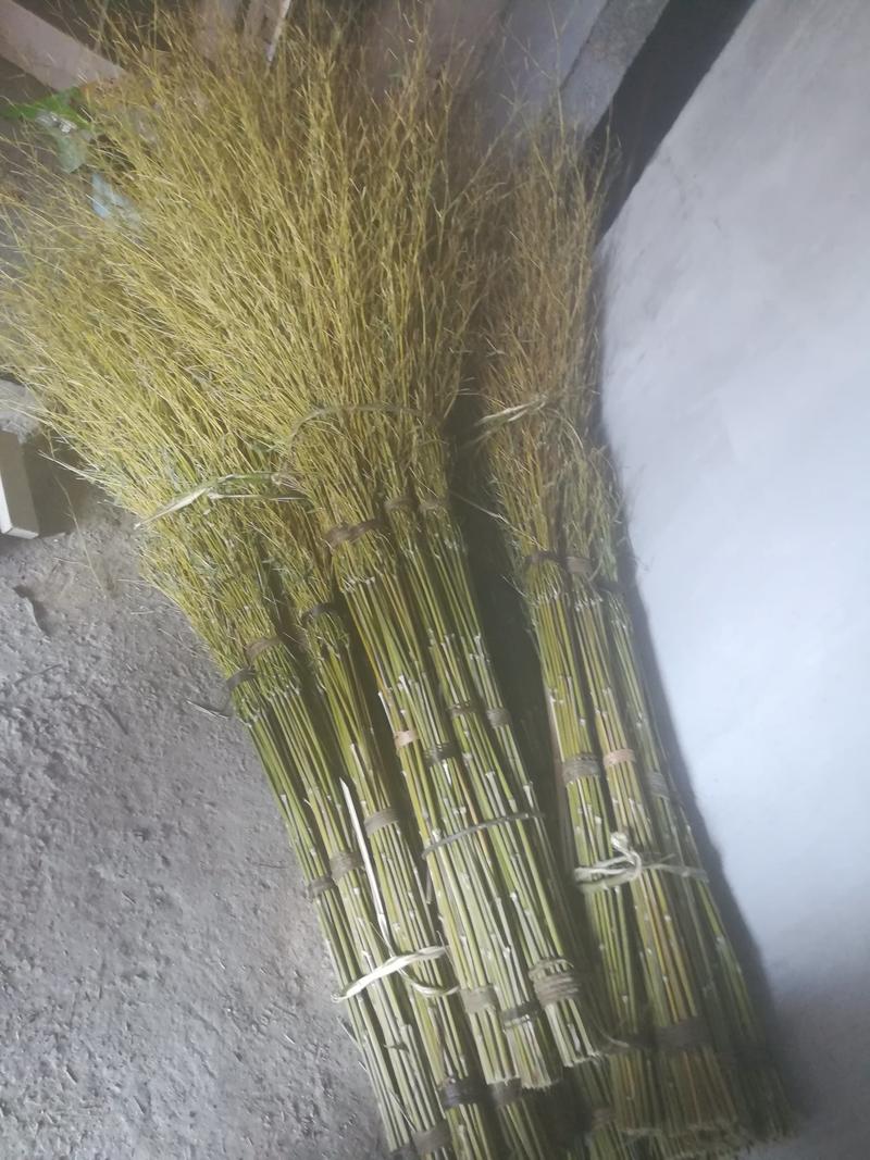 厂家直供白竹扫把，大白竹扫把价格更便宜。