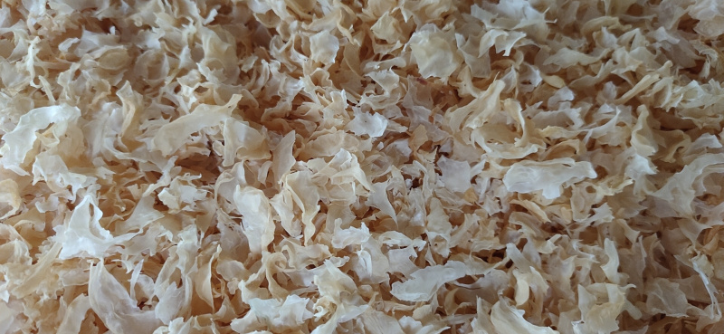 提取专用银耳碎片0.3到1.2厘米量大更优