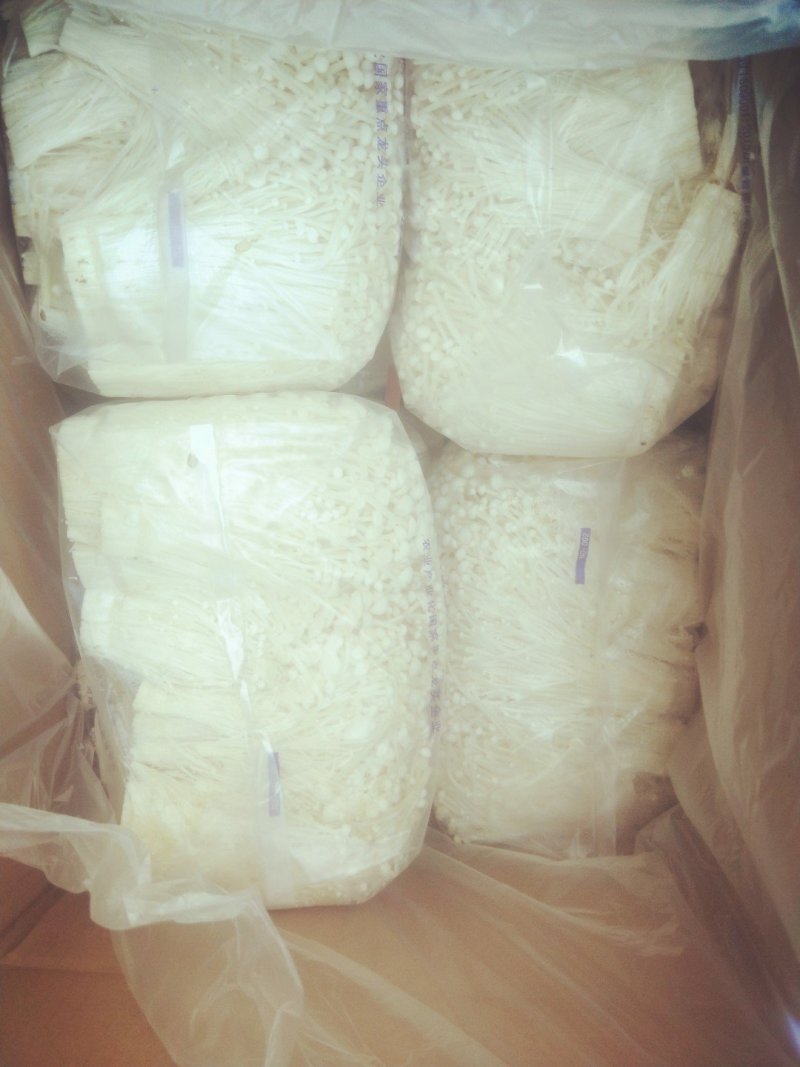 特价金针菇