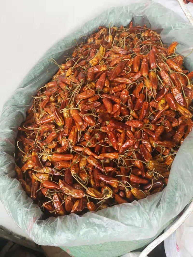 特辣黄辣椒