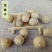 没食子千余品种供应承接订单