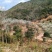 山地出租100亩