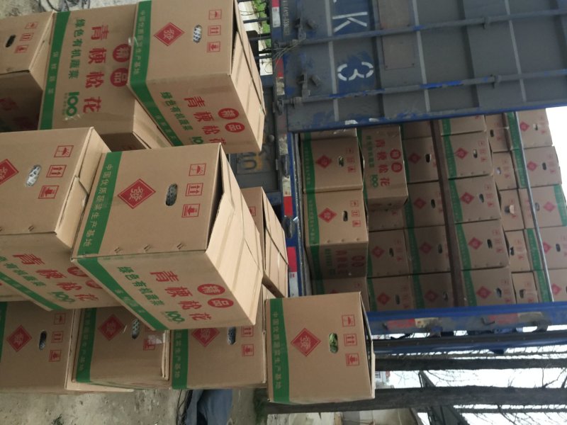 精品实花，松花散花持续上市，产地直供，提供各种包装发货