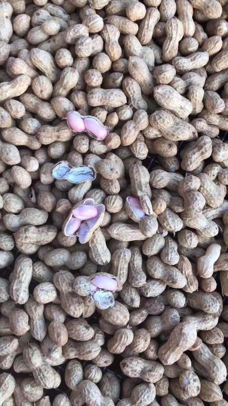 江苏大白沙大量有货