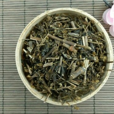 青叶胆走胆药青鱼胆千余品种供应承接订单