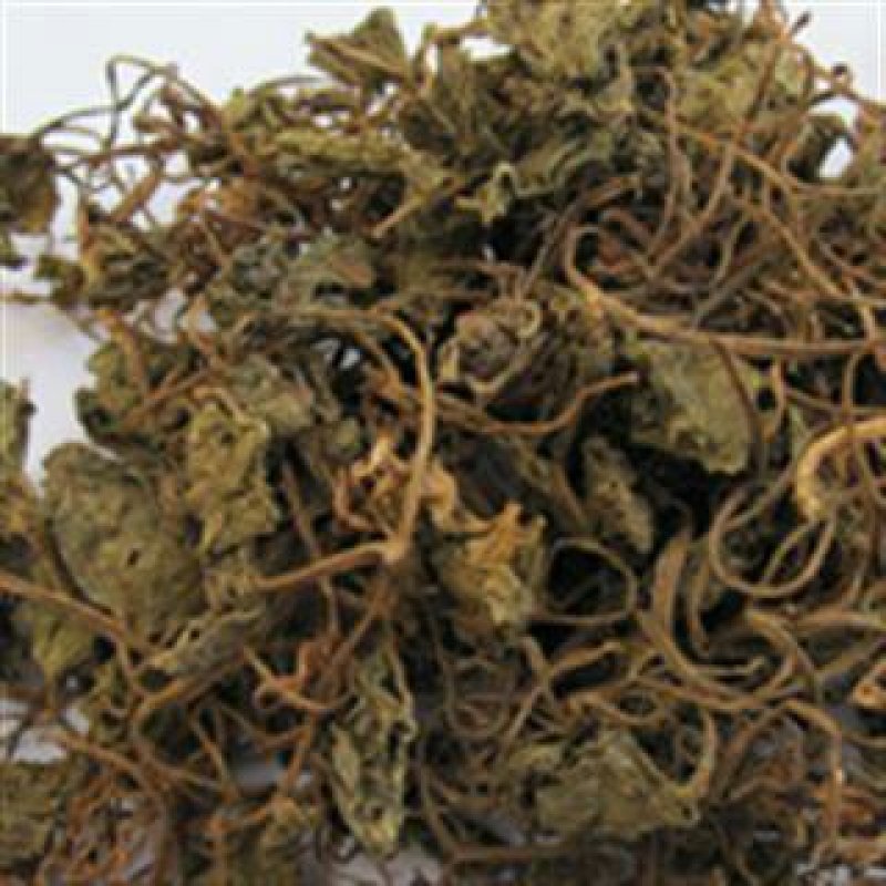 青天葵千余品种供应承接订单