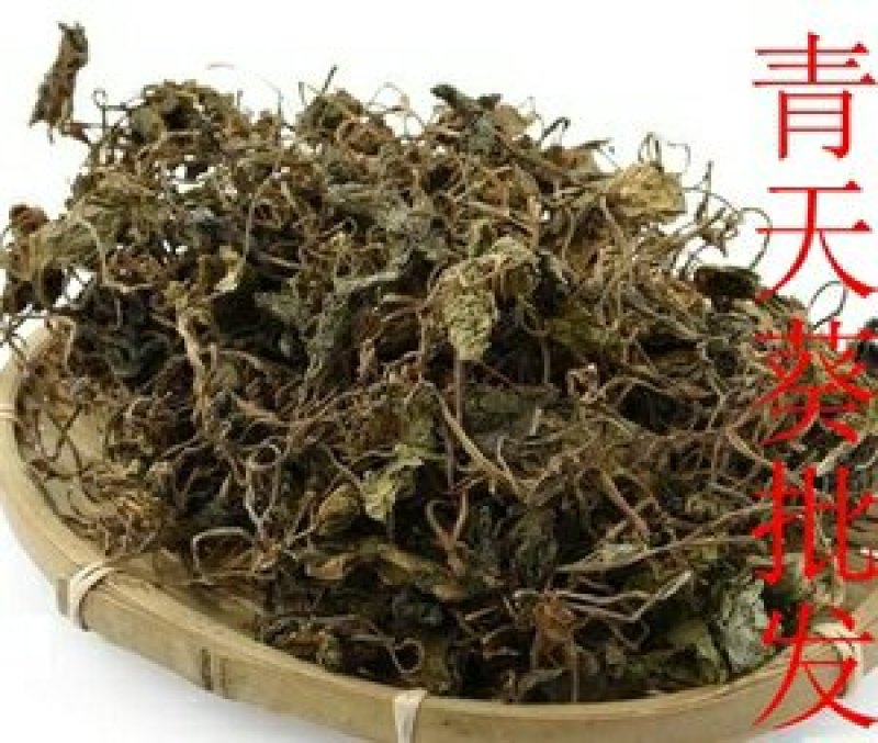 青天葵千余品种供应承接订单