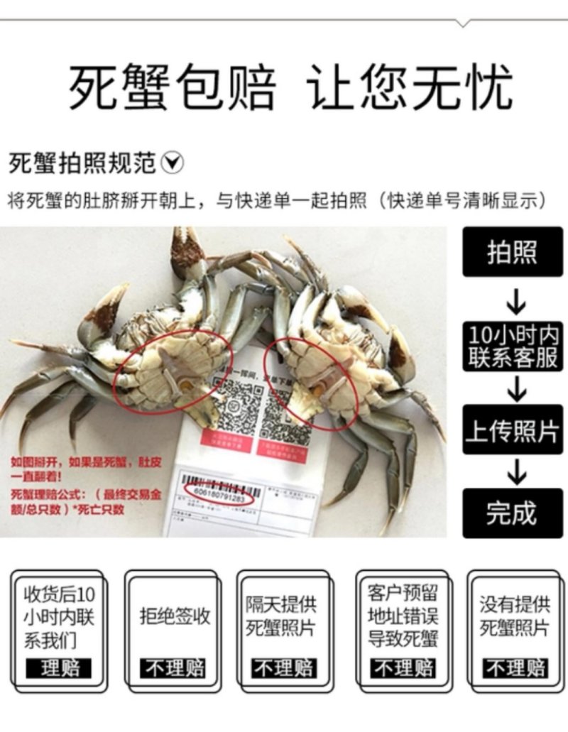 江苏大闸蟹招代理鲜美足称无黄包赔批发团购