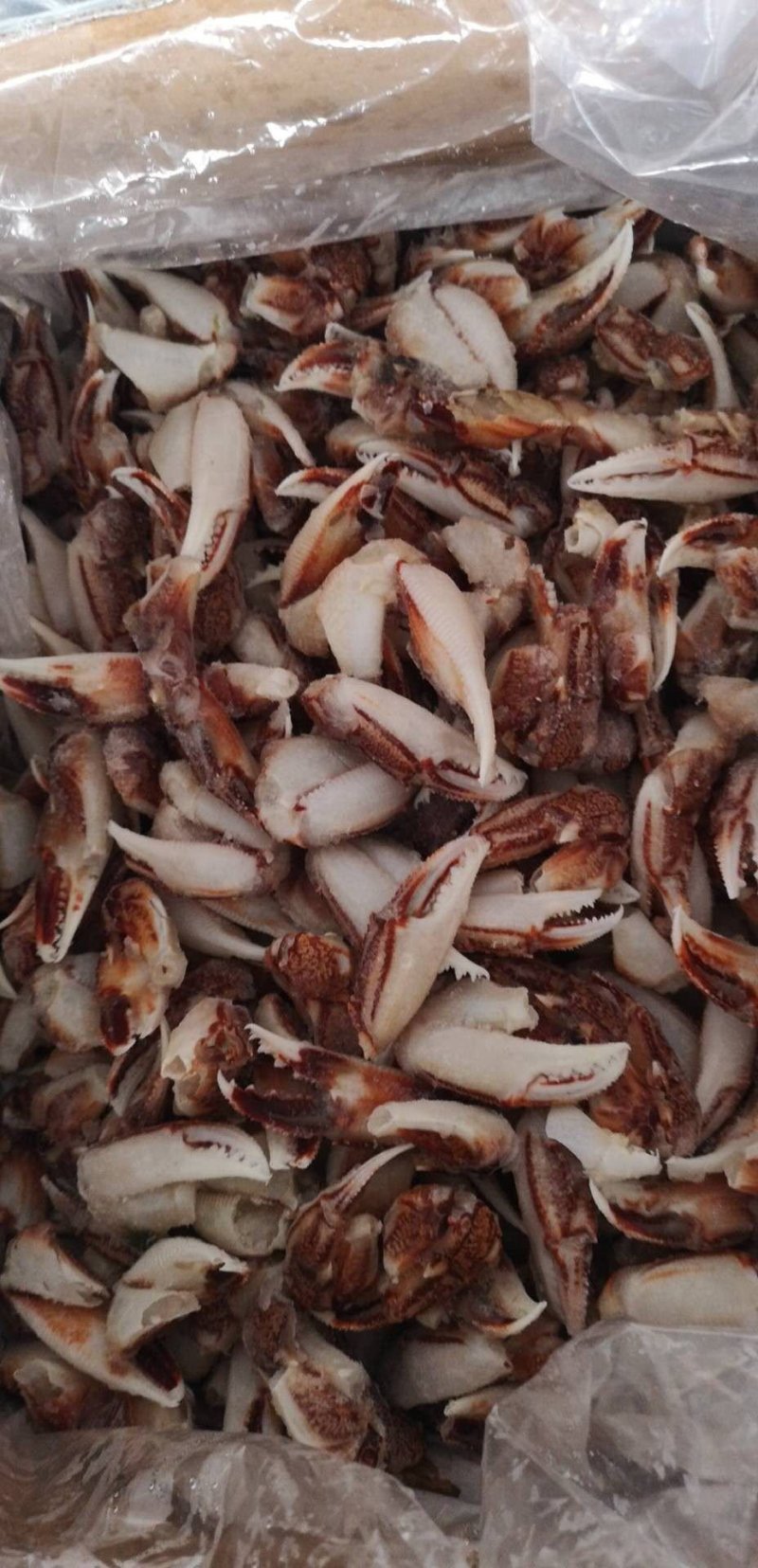 新鲜冷冻沙蟹钳