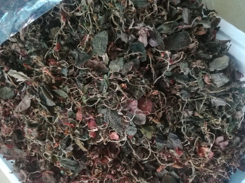广西野生小叶金线莲干货(足干)