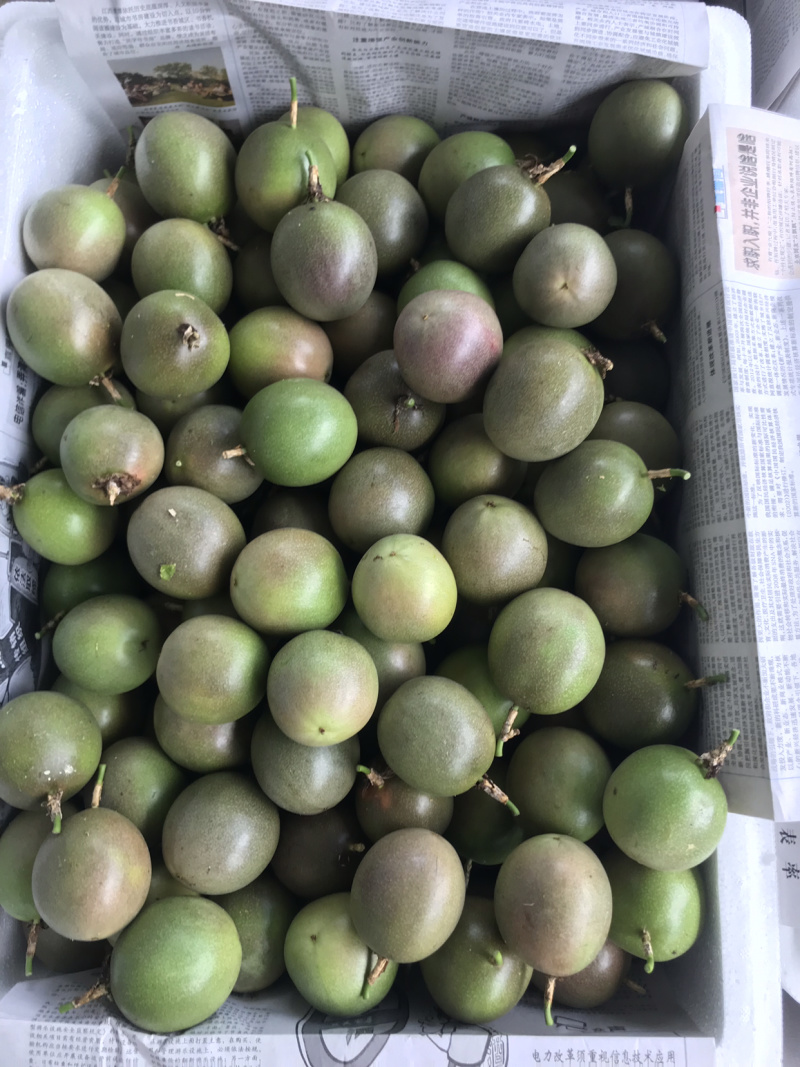 云南高山优质百香果