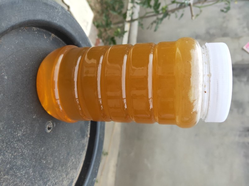 蜂巢蜜