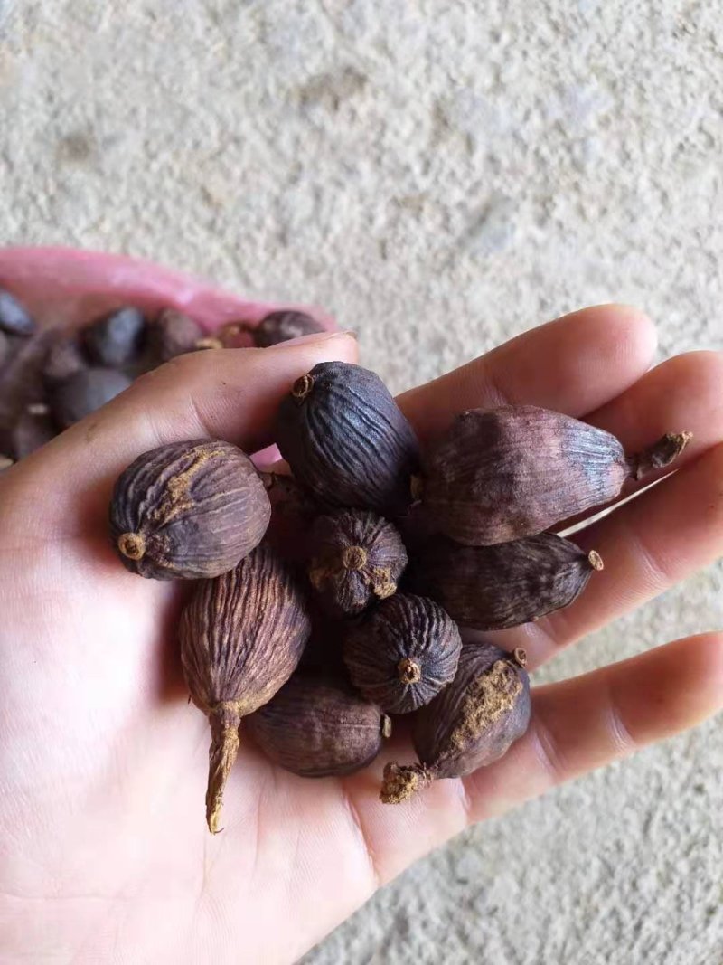 干草果