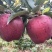 苹果🍎