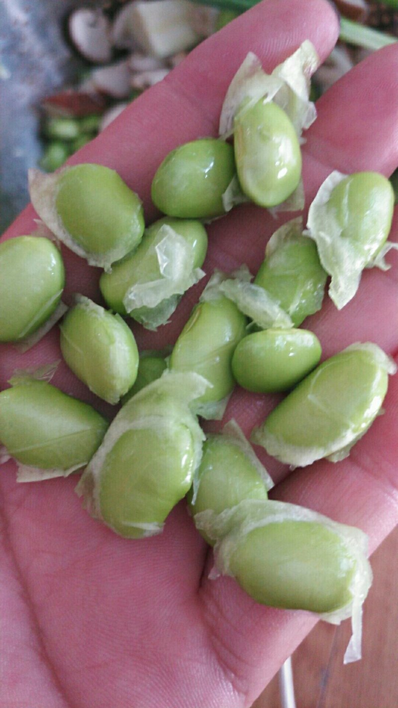 大青豆预售20万斤左右