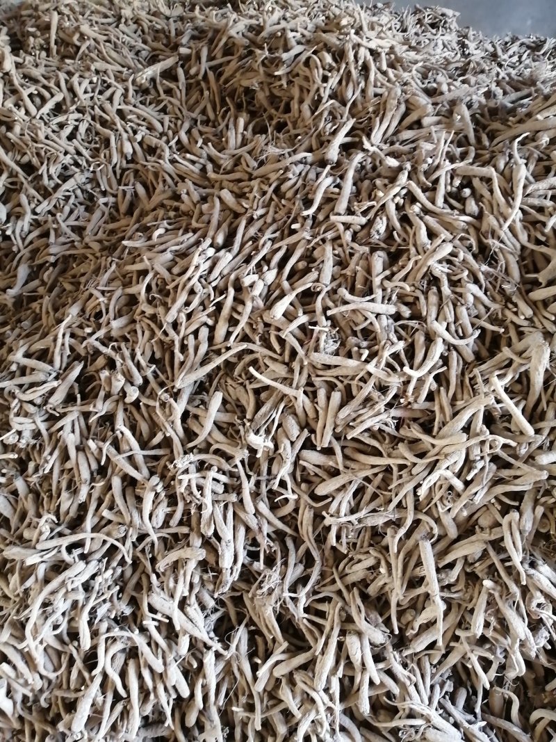 白芷，香白芷！干净！无杂质香料药用各种规格，质量保证！！