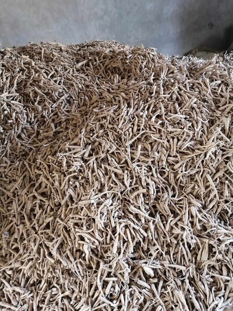 白芷，香白芷！干净！无杂质香料药用各种规格，质量保证！！