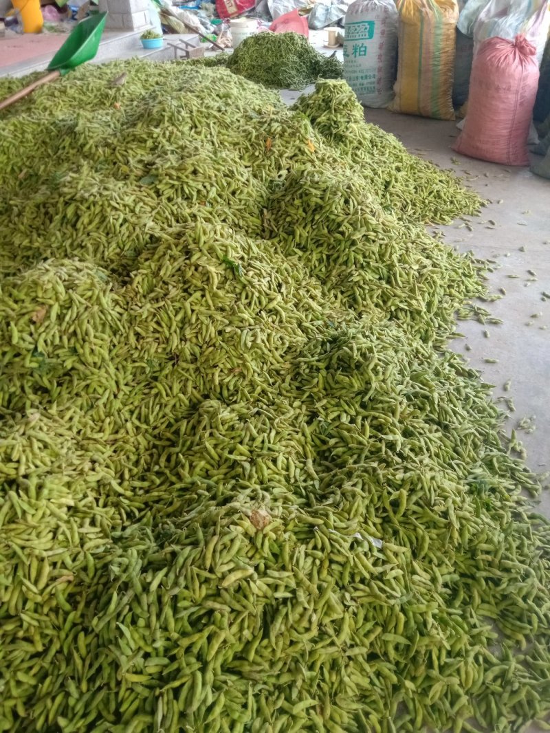 供应各种蔬菜