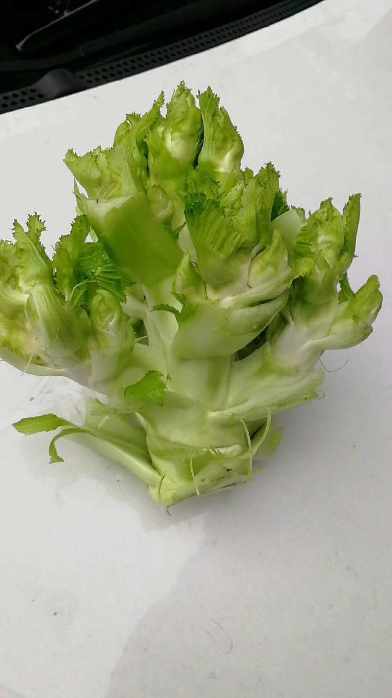 万亩儿菜基地，上市了中，有需要的老板提前预定，因为我们的