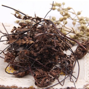 通经草,道地药材,质优价实,品质保证,药典标准一公斤起批
