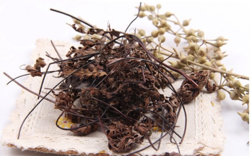 通经草，道地药材，质优价实，品质保证，药典标准一公斤起批