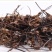 通经草,道地药材,质优价实,品质保证,药典标准一公斤起批