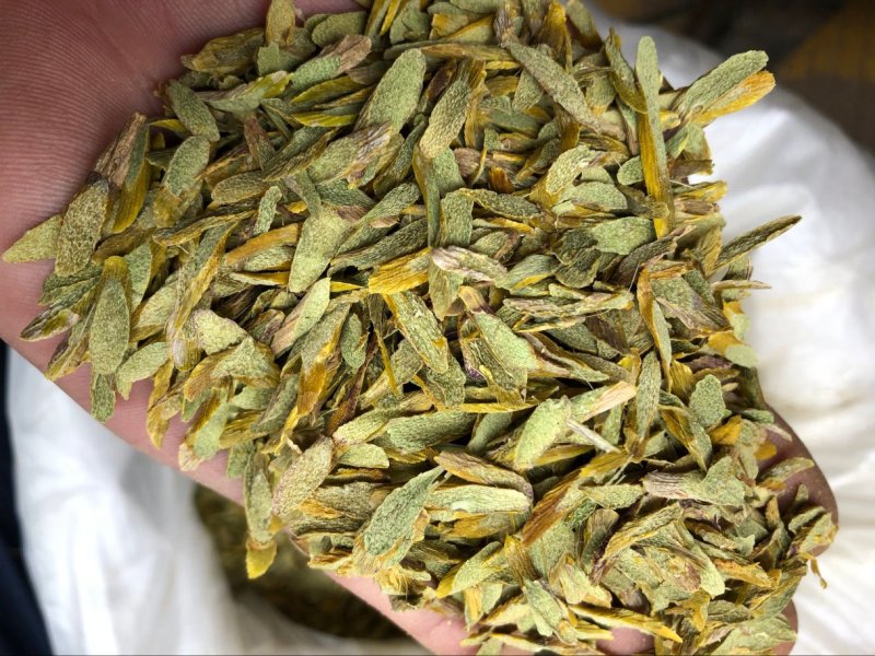 铁皮石斛片切片霍山仿野生石斛枫斗